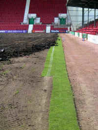 Pitch_100803_B7.jpg (202589 bytes)